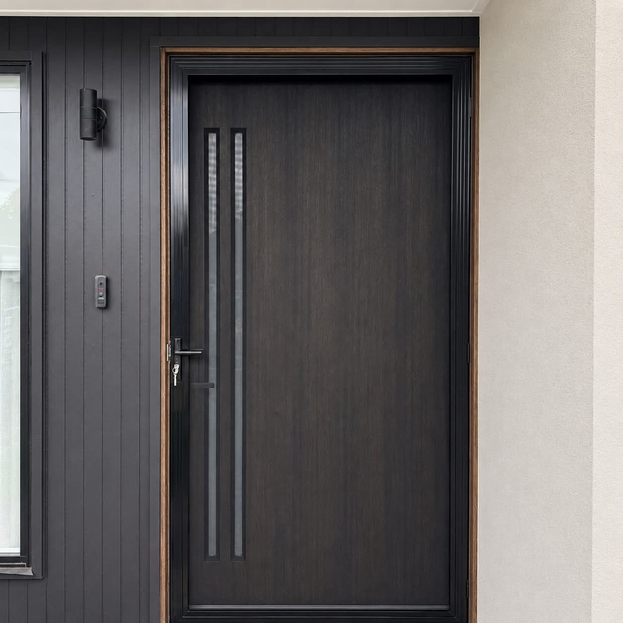 Modern dark wooden front door
